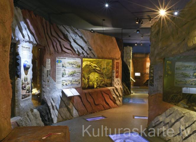 LDM Paleontoloģijas ekspozīcija